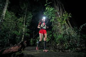 BIB: 
                            <button type="button" onclick="openModal(24809126)" class="btn btn-primary btn-sm float-right btn-popup" data-toggle="modal" data-target=".modal-high-quality">
                        <i class="fas fa-shopping-cart"></i> Add to Cart
                    </button>
                                            <button type="button" onclick="isThisMe(24809126, true)" class="btn btn-success btn-sm float-right btn-popup btn-isme hidden" data-toggle="tooltip" data-placement="bottom" title="นี่คือรูปของคุณใช่ไหม คลิกที่นี่เพื่อเอาเข้าอัลบั้ม">
                        <i class="fas fa-plus"></i> Add to album
                    </button>
                    <button type="button" onclick="isThisMe(24809126, false)" class="btn btn-warning btn-sm float-right btn-popup btn-isnotme hidden">
                        <i class="fas fa-ban"></i> Remove from album
                    </button>